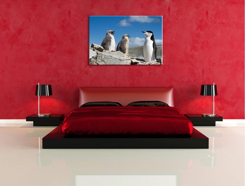 Pinguin mit süssen Küken Format: 100x70 auf Leinwand, XXL riesige Bilder fertig gerahmt mit Keilrahm