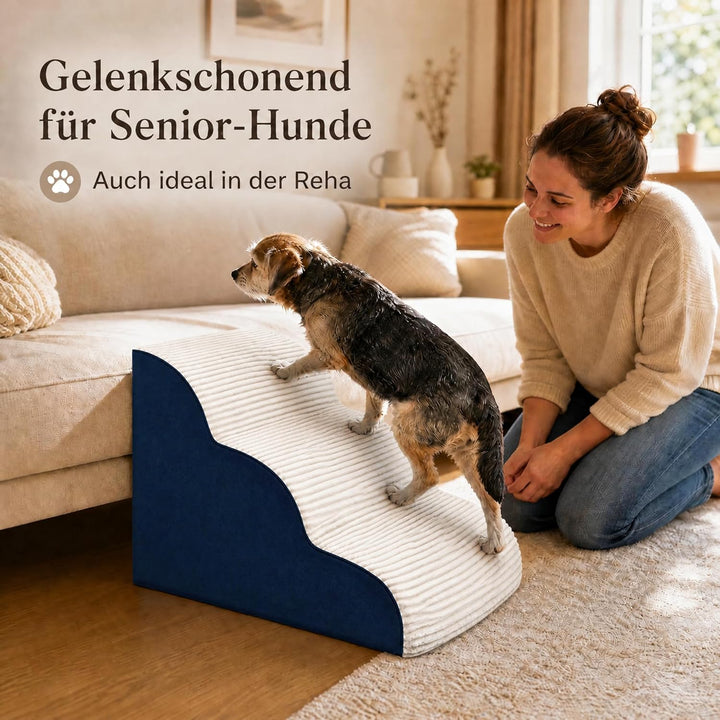 BEST JAJA Hundetreppe 3 Stufen mit Kanteneinfassung – formstabil und rutschfest, 40 cm hoch für Bett