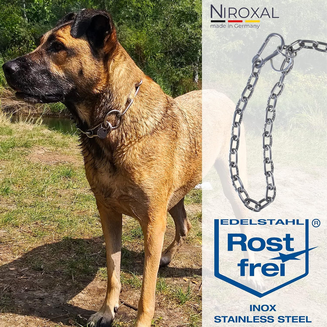 rostfreie Kombikette für Hunde - das ORIGINAL mit Zugstop - Edelstahl Hundekette Ketten Halsband kur