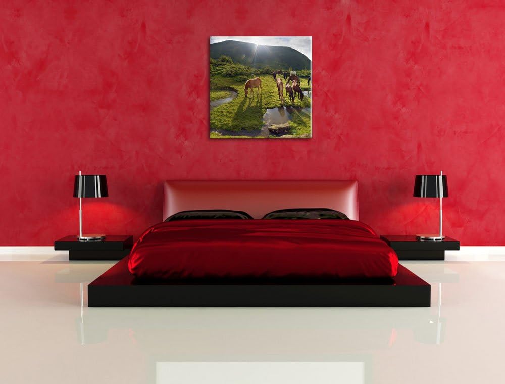 Pferde auf Wiese, Format: 70x70 auf Leinwand, XXL riesige Bilder fertig gerahmt mit Keilrahmen, Kuns