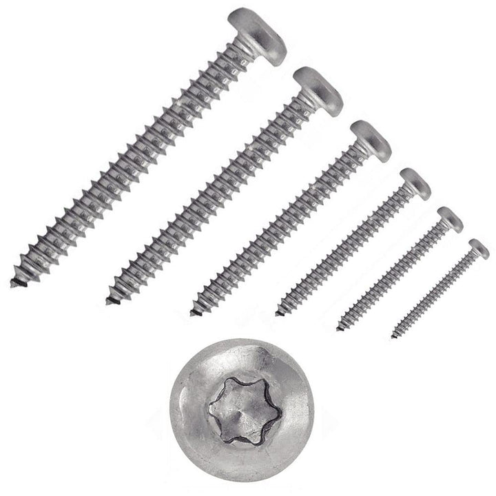 200 X Flachkopf Blechschrauben mit Innensechsrund ISO 14585 A2 C 6.3X100 TX30 6.3 x 100 200, 6.3 x 1