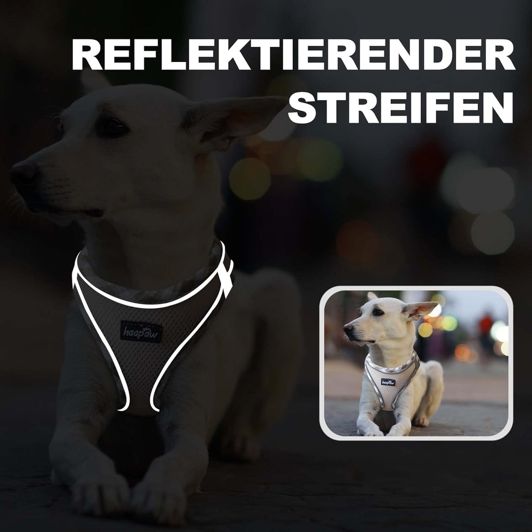 haapaw Hundegeschirr und Leine Set, kein Ziehen, verstellbares, reflektierendes Step-in-Welpengeschi