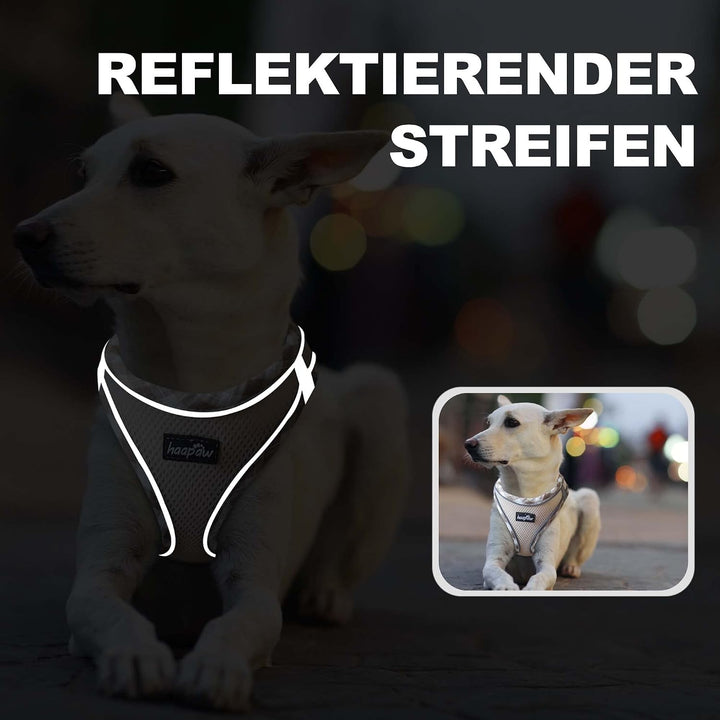 haapaw Hundegeschirr und Leine Set, kein Ziehen, verstellbares, reflektierendes Step-in-Welpengeschi