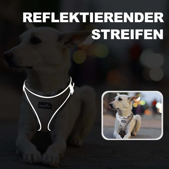 haapaw Hundegeschirr und Leine Set, kein Ziehen, verstellbares, reflektierendes Step-in-Welpengeschi