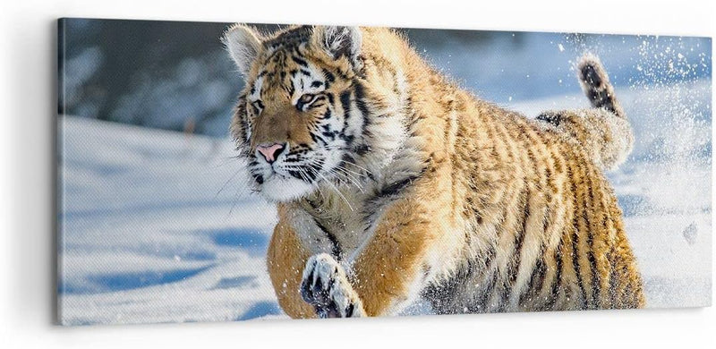 Panorama Bilder auf Leinwand 100x40cm Leinwandbild mit Rahmen tiger tier Gross Wanddeko Bild Schlafz