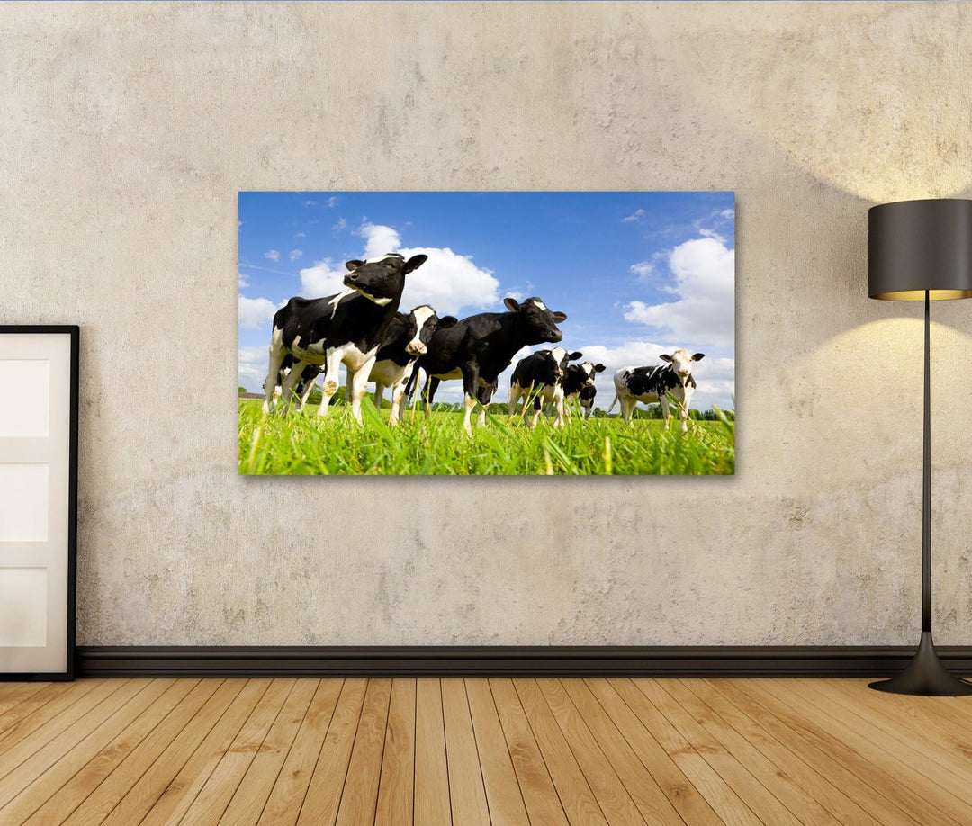 islandburner Bild auf Leinwand Holstein Kühe Auf Der Wiese Bilder Wandbilder Poster, Leinwand 80x40c