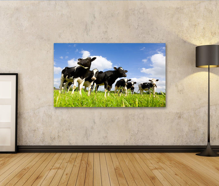 islandburner Bild auf Leinwand Holstein Kühe Auf Der Wiese Bilder Wandbilder Poster, Leinwand 80x40c