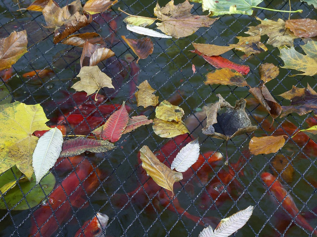 Blagdon Clearview Cover Net 3x2m | Teichabdeckung Schutznetz gegen Reiher & Katzen | Laubschutz für
