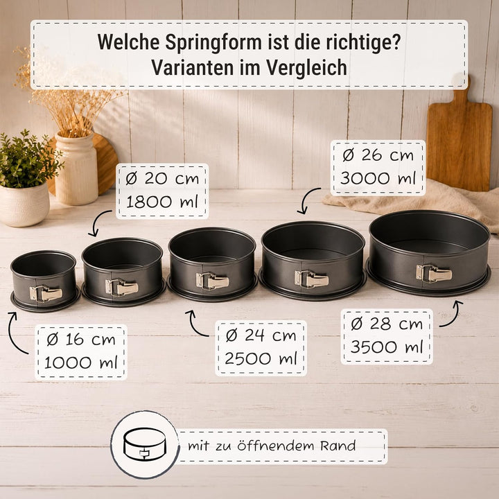 Birkmann, Easy Baking, Springform Ø 28 cm, runde Kuchenform mit hohem Rand, antihaft, auslaufsicher,