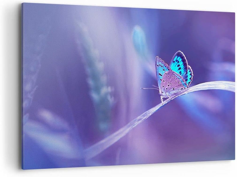 Bilder auf Leinwand 100x70cm Leinwandbild mit Rahmen Schmetterling Natur Gross Wanddeko Bild Schlafz