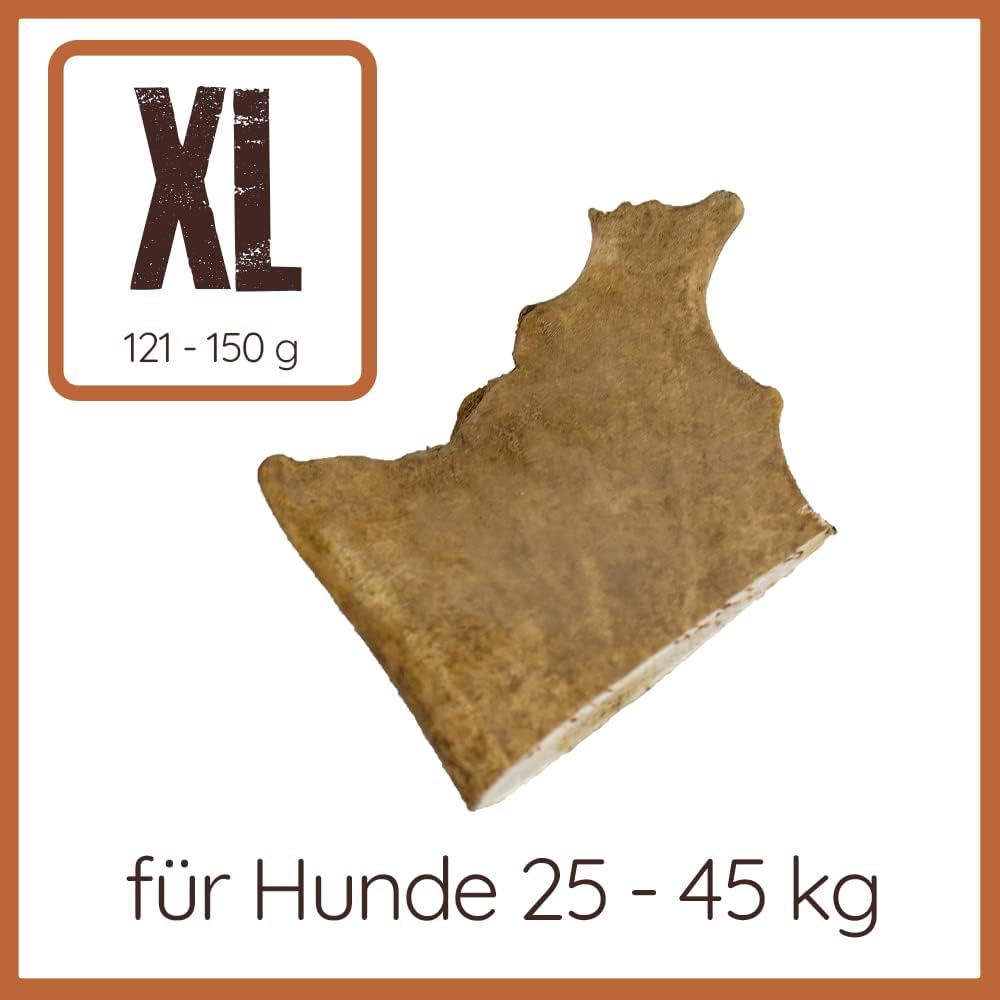 Wildfang® halbe Kaustange vom Rothirsch Geweih Hunde Kausnack | Abwurfstange aus EU | Zahnpflege | H