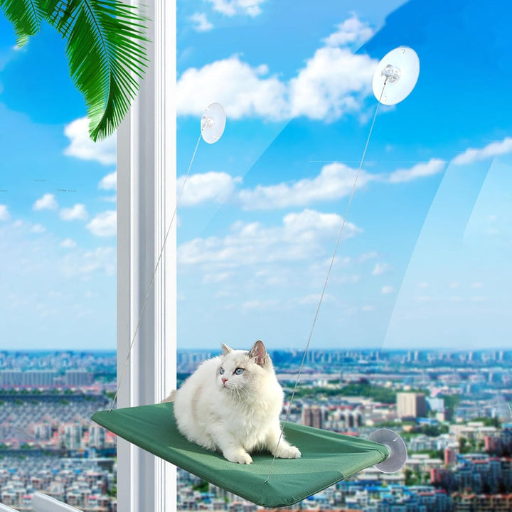 Katzen Hängematte Fensters, Katze Fensters Barsch Mits 4 Starken Saugnäpfen Platz Sparende Katzen Hä