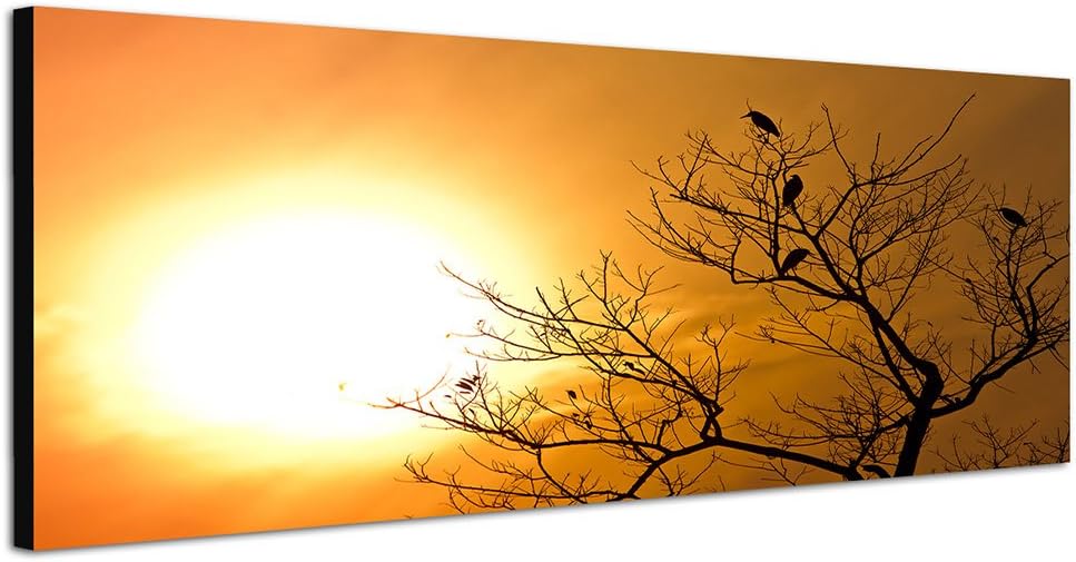 Paul Sinus Art Panoramabild auf Leinwand und Keilrahmen 150x50cm Nepal Baum Vögel Sonnenuntergang