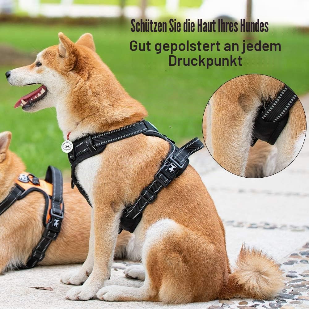 PoyPet No Pull Hundegeschirr, reflektierendes Westengeschirr mit 2 Leinenbefestigungen und einfachem
