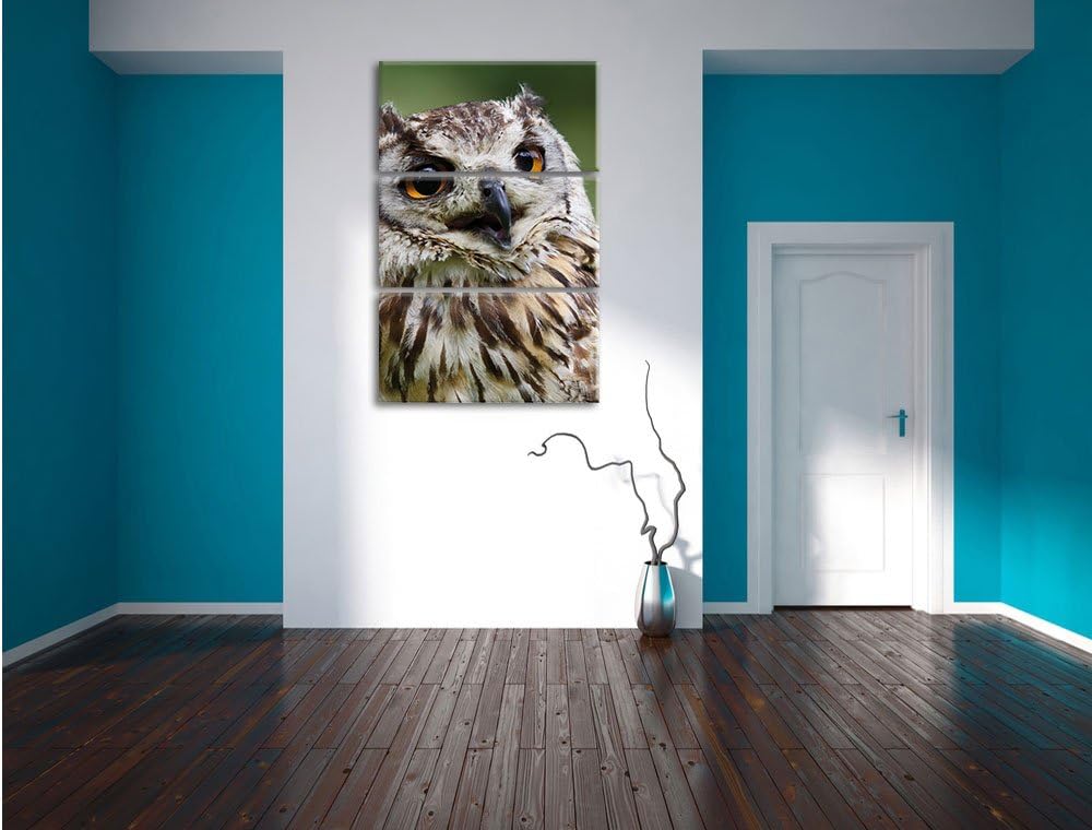 Pixxprint sehr müde Waldeule 3-Teiler Leinwandbild 120x80 Bild auf Leinwand