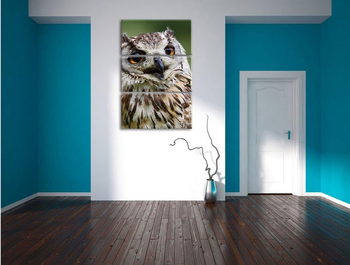 Pixxprint sehr müde Waldeule 3-Teiler Leinwandbild 120x80 Bild auf Leinwand