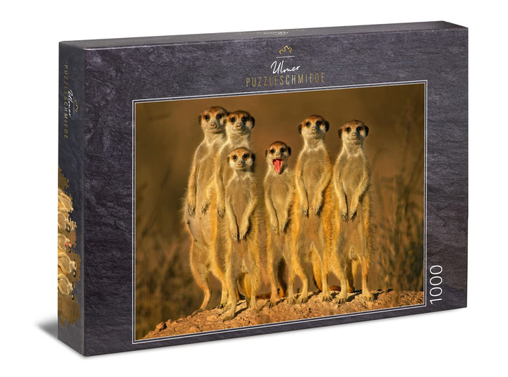 Ulmer Puzzleschmiede - Puzzle „Kleiner Frechdachs“ - Klassisches 1000 Teile Tier-Puzzle – Puzzlemoti