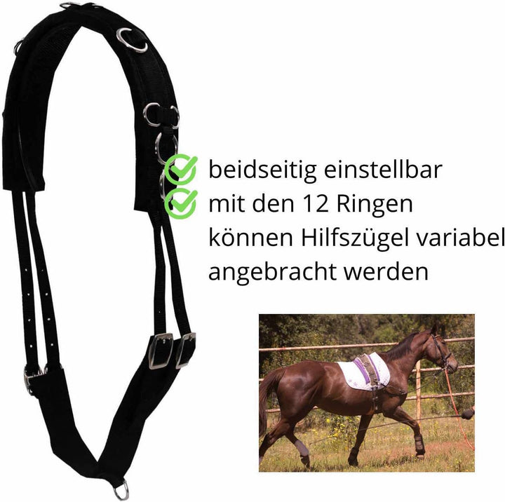 AMKA Longiergurt aus Nylon mit weicher Filzunterlage und 12 Ringen verstellbar, alle Grössen auch fü