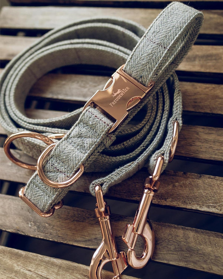 FREUDENTIER® Hundehalsband und Hundeleine im eleganten Set - 2m Leine, 3-Fach verstellbar - Robust &