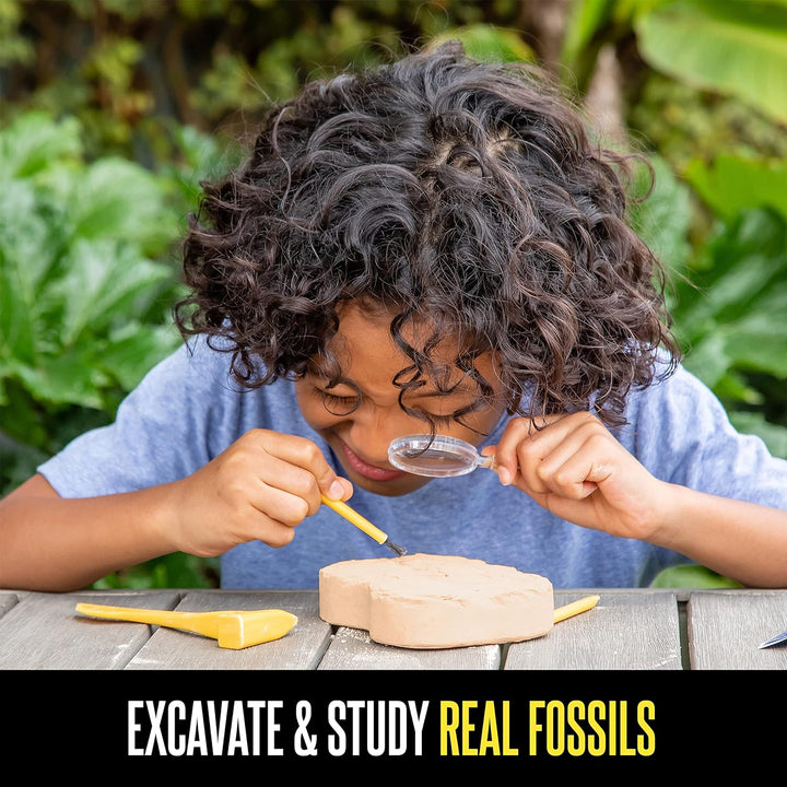 Learning Resources GeoSafari Fossilien-Ausgrabungsset