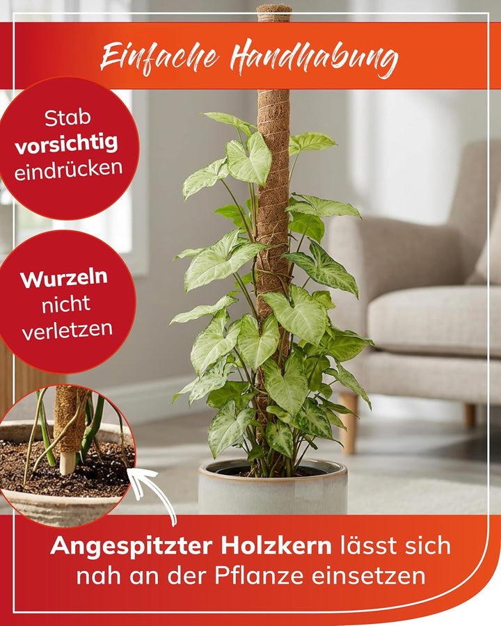 bellissa Kokosstab Pflanzstab Monstera Efeutute Rankhilfe 5er-Set 110 cm | Pflanzenstütze für Garten