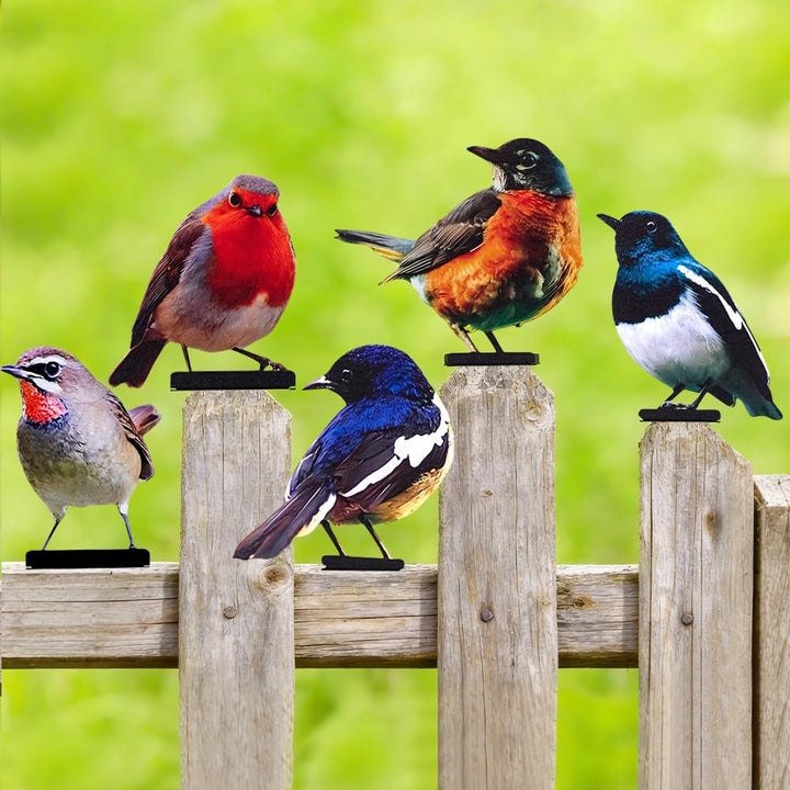 5 Stück Gartendeko Bemalte Vogel, Bunt Bemalte 2D Gartenkunst, Vogel Gartenstecker, Voge Deko Figure