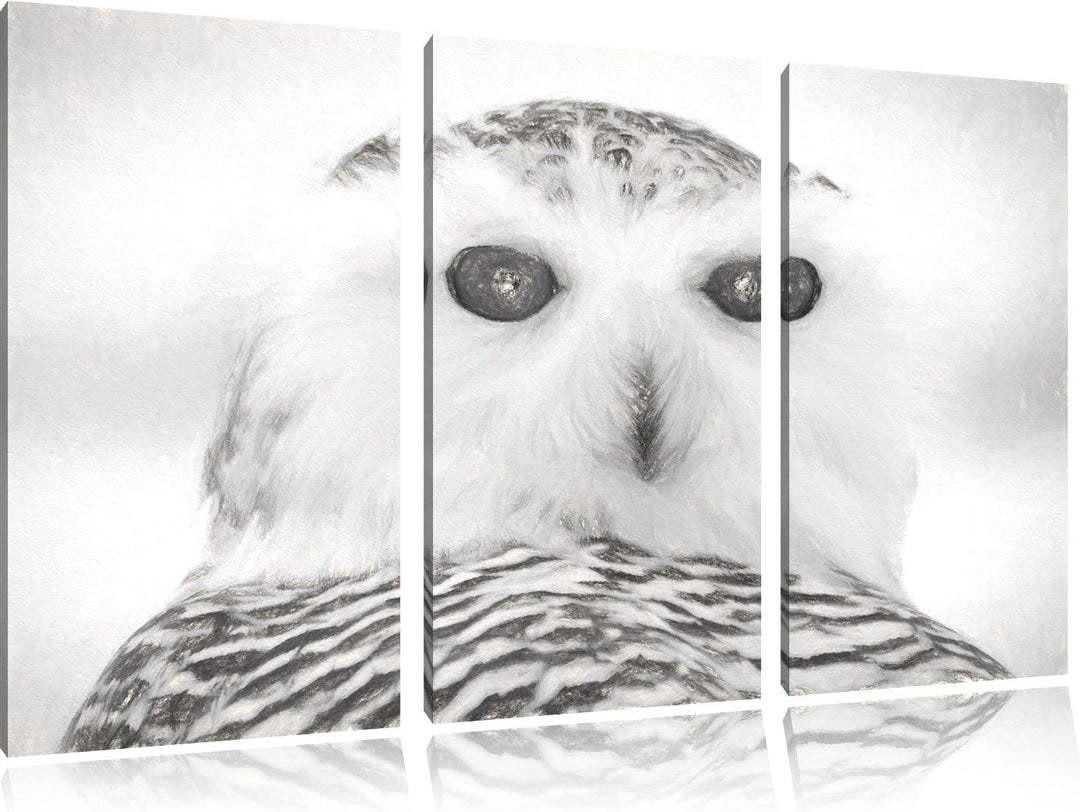 Pixxprint Schnee-Eule als Leinwandbild/Grösse: 3 Teilig (120x80) cm/Wandbild/Kunstdruck/fertig bespa