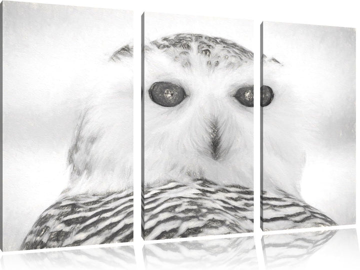 Pixxprint Schnee-Eule als Leinwandbild/Grösse: 3 Teilig (120x80) cm/Wandbild/Kunstdruck/fertig bespa