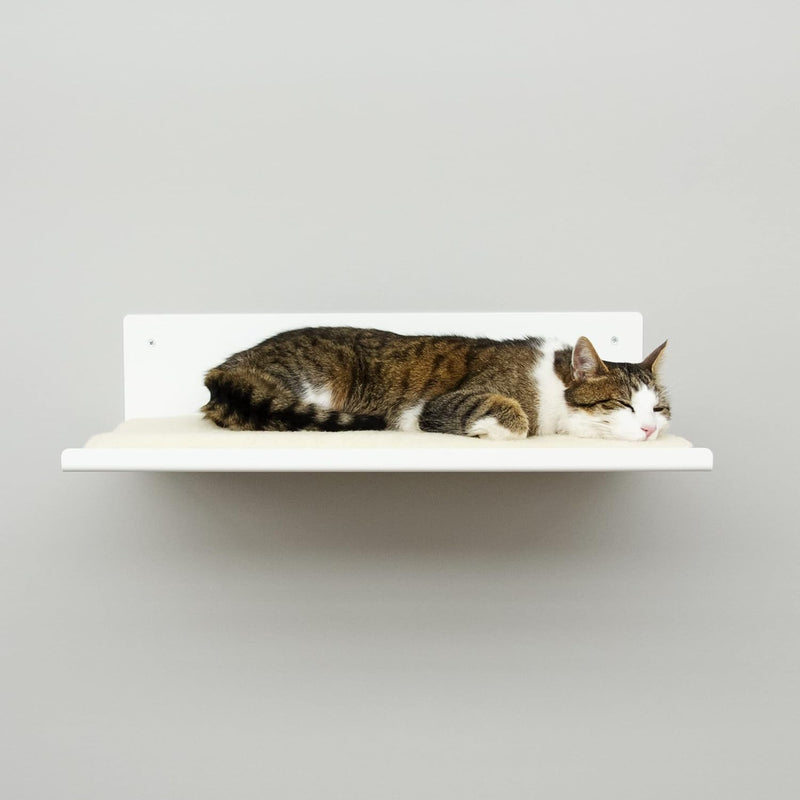 LucyBalu® Wandliege für Katzen | Katzenbett für die Wand | Katzen Wand Liegeplatz | Katzen Wandbett