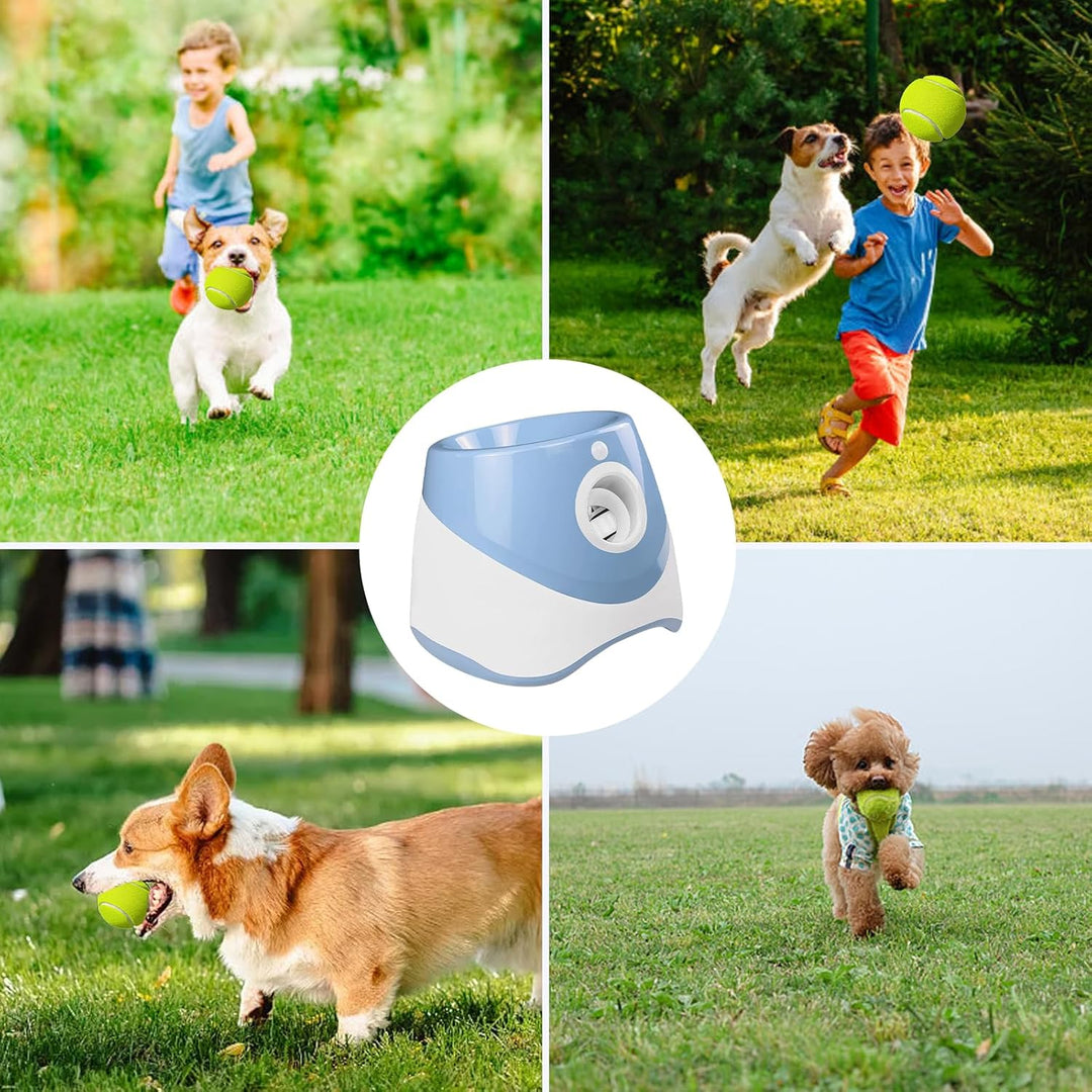 Ballwurfmaschine für Hund, Automatischer Hunde Ballwurfmaschine mit 6 Tennisbälle, Hundespielzeug Ba