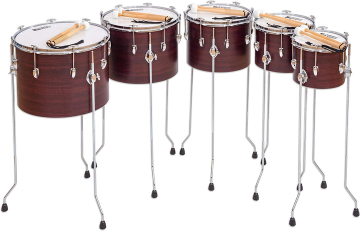 Betzold Musik – Stimmbare Pauke – 18" Trommel für die Schule und den Unterricht, C-G 18'', 18''
