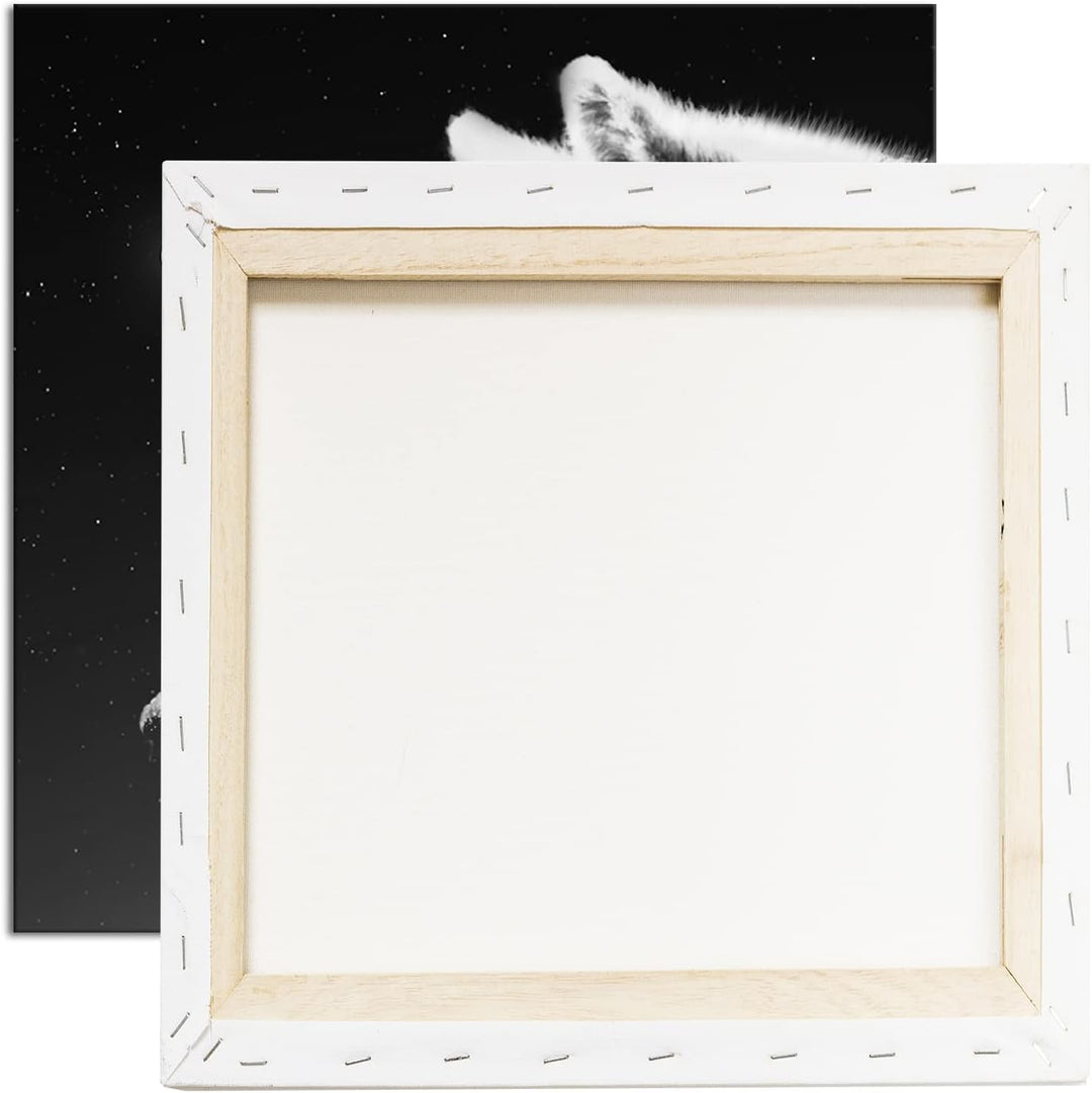 einsamer stolzer Wolf Format: 60x60 Effekt: Schwarz&Weiss als Leinwandbild, Motiv fertig gerahmt auf