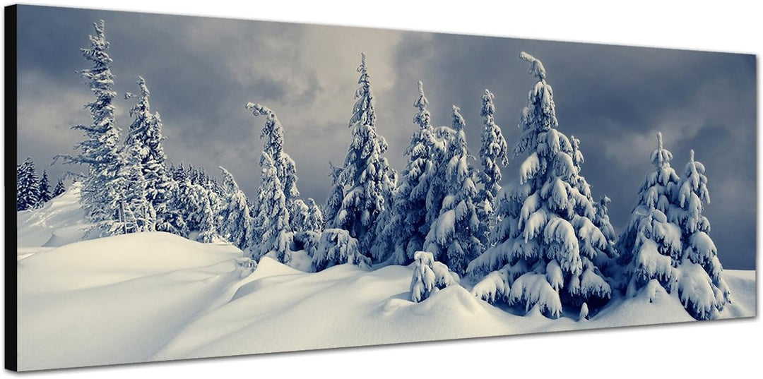 Paul Sinus Art Panoramabild auf Leinwand und Keilrahmen 120x40cm Winterlandschaft Bäume Schnee Wolke