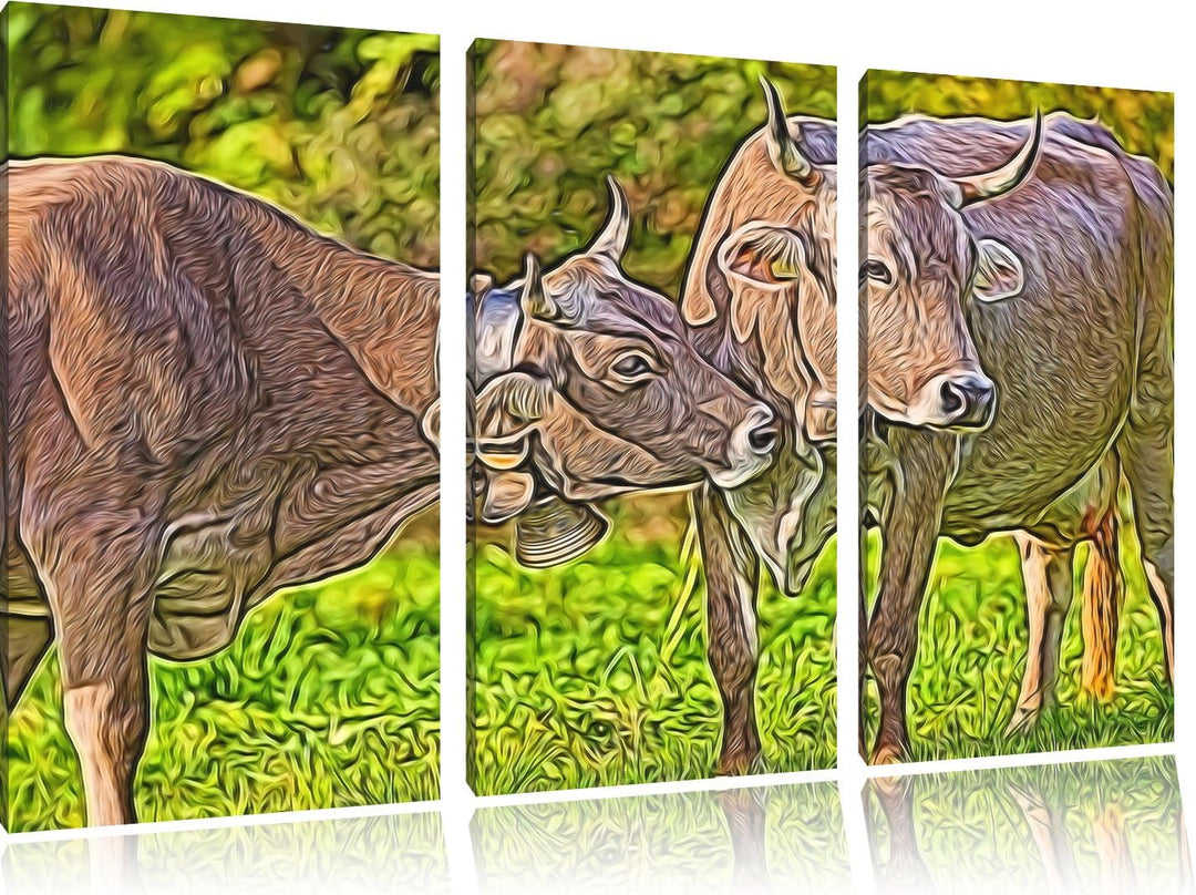 Kuhbullen auf Weide Spezial 3-Teiler Leinwandbild 120x80 Bild auf Leinwand, XXL riesige Bilder ferti