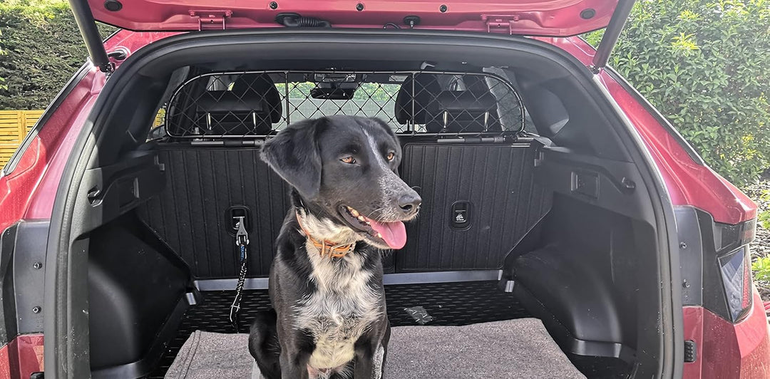 ERGOTECH Trennnetz Trenngitter für Hyundai Tucson (ab BJ 2021), RDA65-XXS16, für Hunde und Gepäck