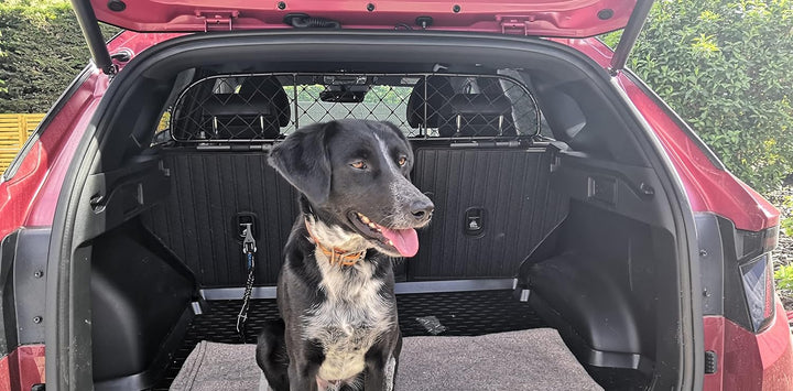ERGOTECH Trennnetz Trenngitter für Hyundai Tucson (ab BJ 2021), RDA65-XXS16, für Hunde und Gepäck