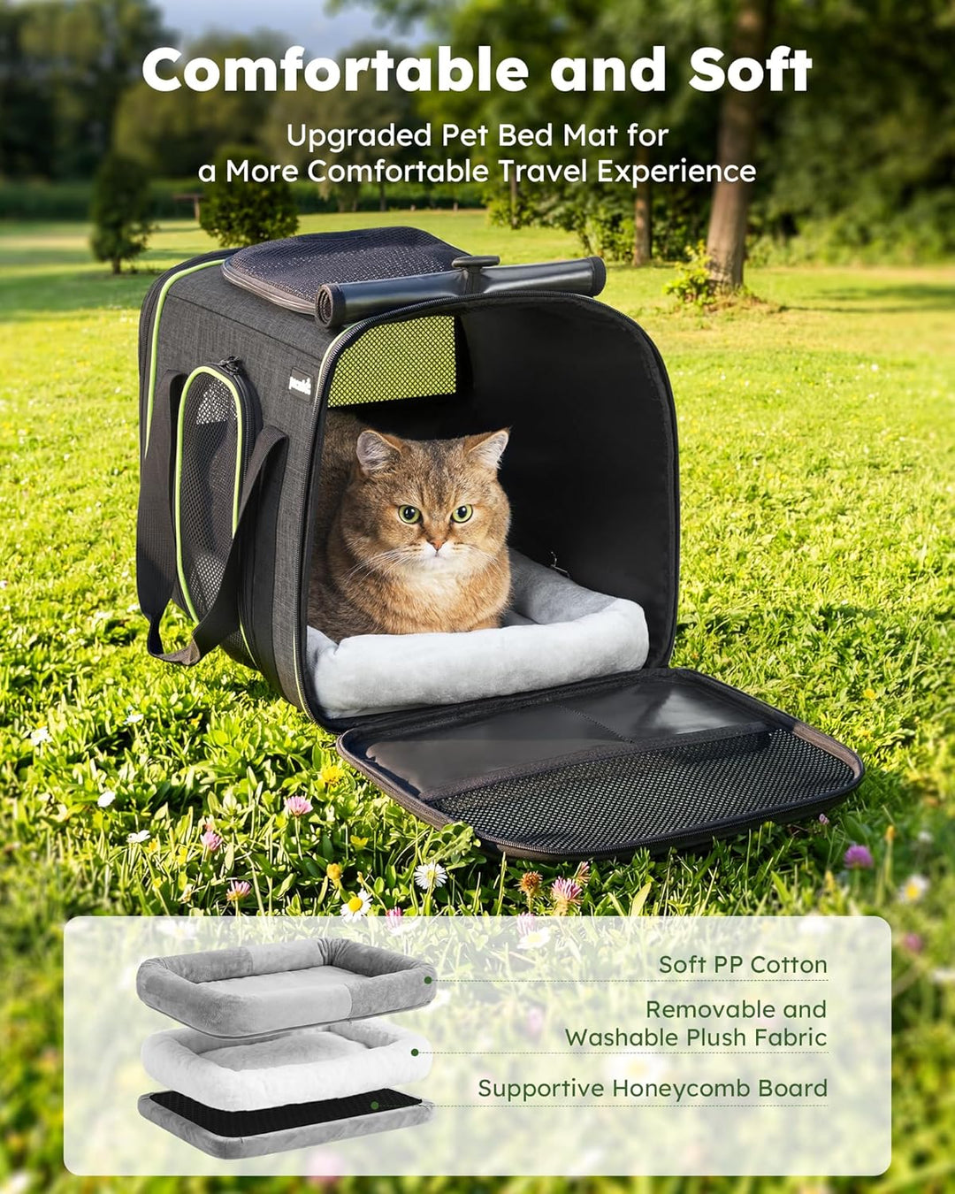 pecute Transportbox Katze,Katzen Transportboxen mit Haustiernest, Faltbare Katzentasche Transporttas