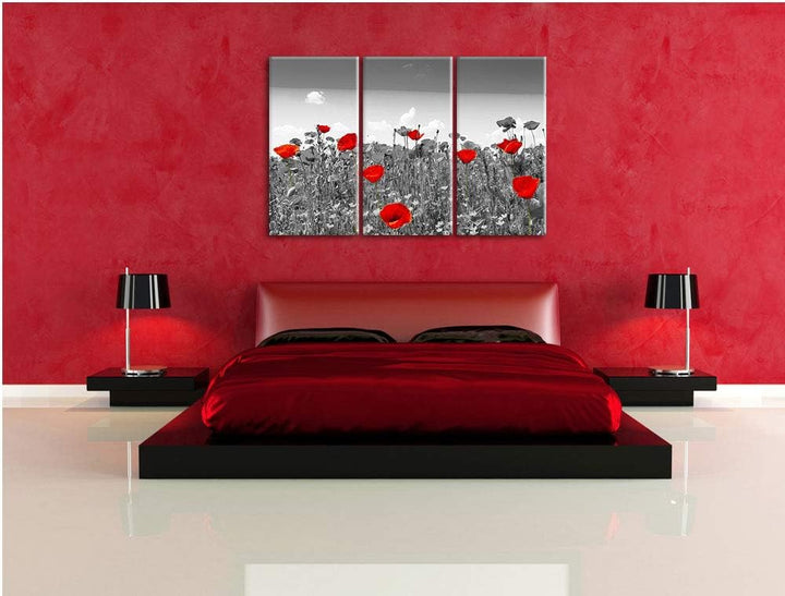 schöner rot leuchtender Mohn schwarz/weiss 3-Teiler Leinwandbild 120x80 Bild auf Leinwand, XXL riesi
