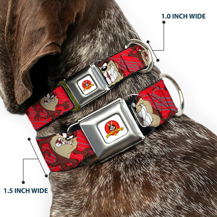 Buckle-Down 22,9–38,1 cm lta-Looney Melodien Logo weiss Hund Halsband WL - Fits 18-32" - 1.5" Wide,