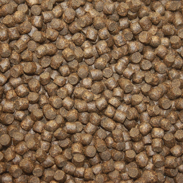 Tomodachi Herbstfutter für Koi Koifutter für den Herbst, langsam sinkend und energiereich, 10kg