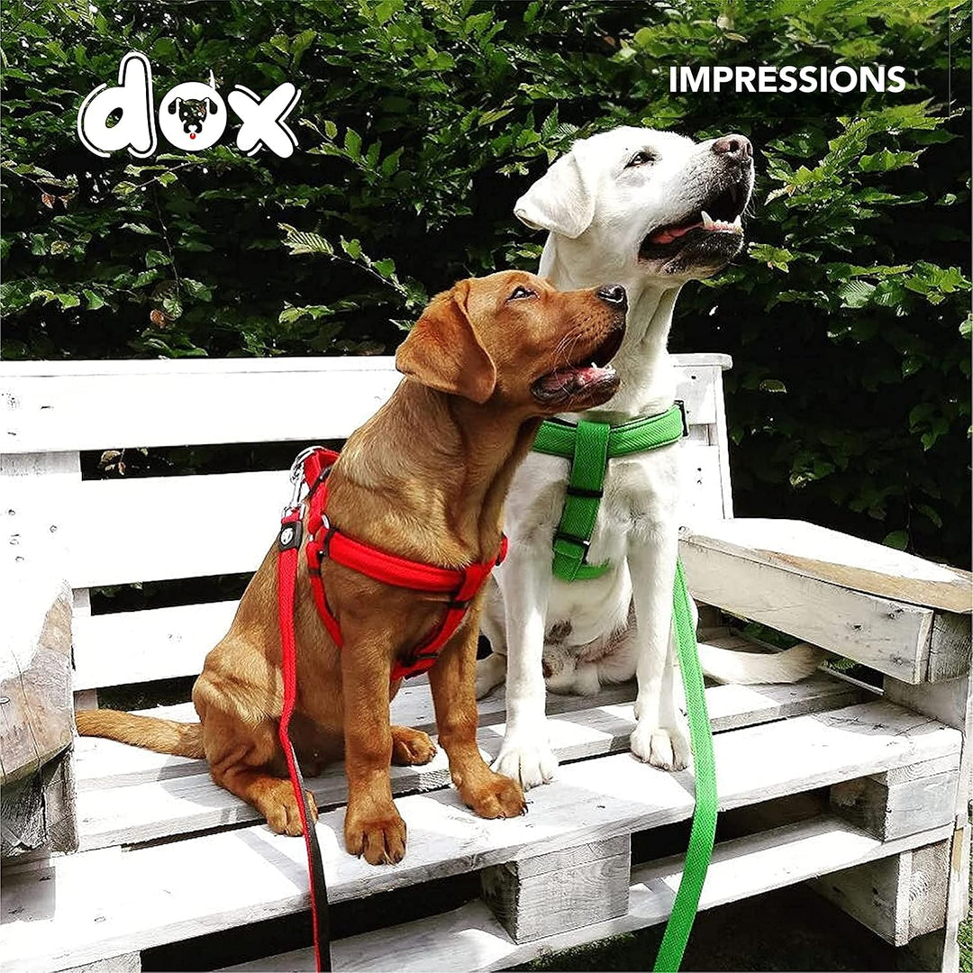 DDOXX Air Mesh Step-In Hundegeschirr - Verstellbare Brust Welpengeschirr für alle Grössen - M (Grün)
