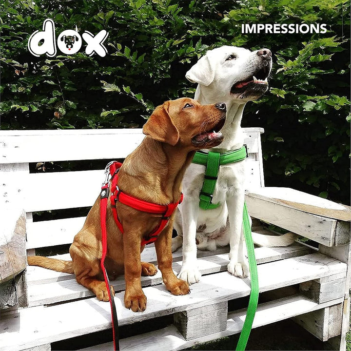 DDOXX Air Mesh Step-In Hundegeschirr - Verstellbare Brust Welpengeschirr für alle Grössen - M (Grün)