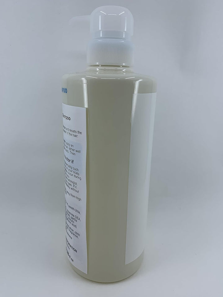 Lebel Viege Hair Shampoo - 600ml (Green Tea Set)