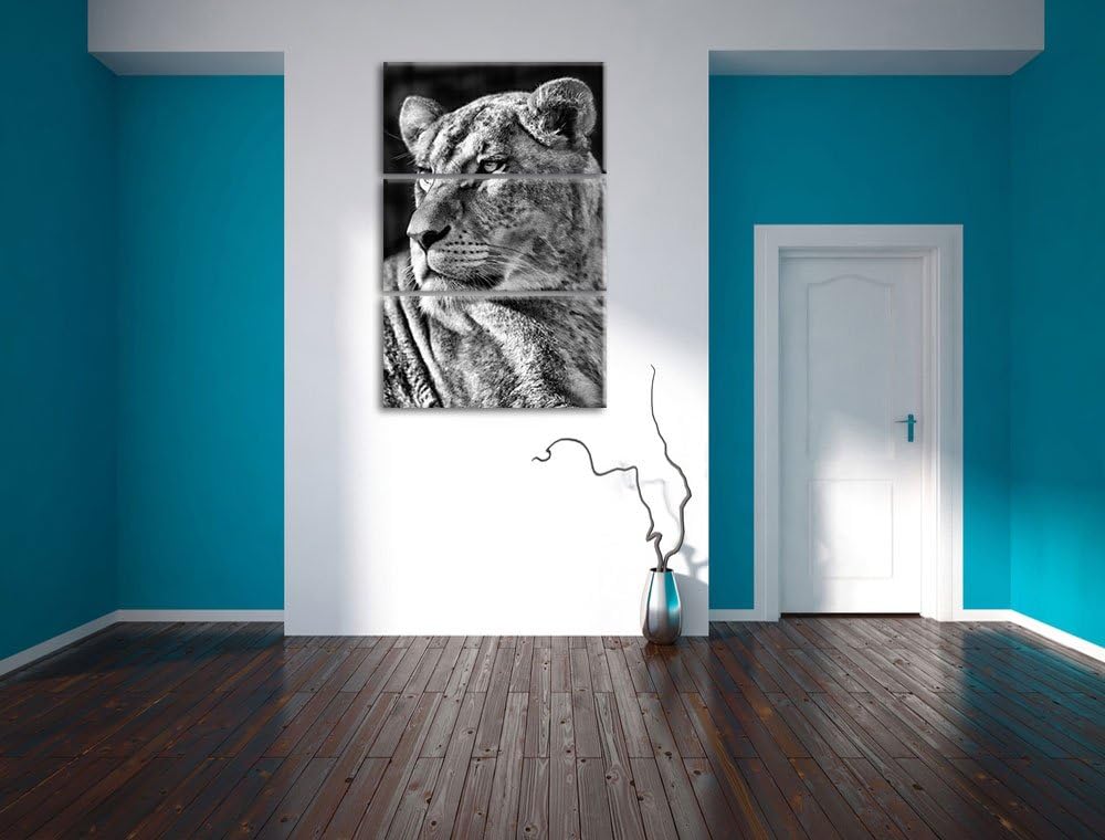 Pixxprint Monocrome, prächtige Löwin 3-Teiler Leinwandbild 120x80 Bild auf Leinwand