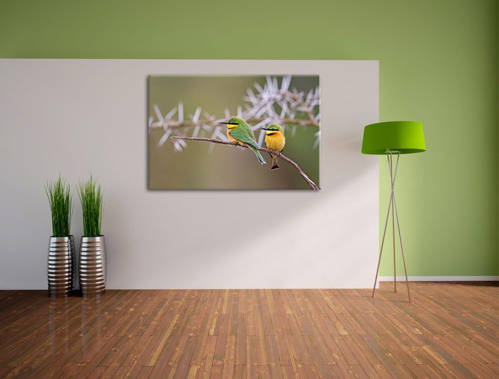 farbenfrohe exotische Vögel auf Ast Leinwand, XXL riesige Bilder fertig gerahmt mit Keilrahmen, Kuns