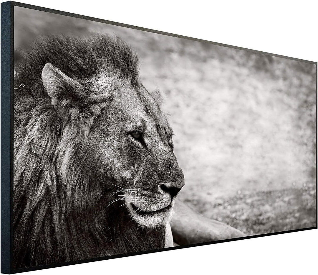 Ecowelle Infrarotheizung mit Bild | 750 Watt | 60x120 cm | Infrarot Heizung| | Made in Germany| b 66