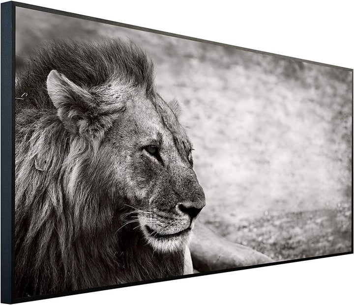 Ecowelle Infrarotheizung mit Bild | 750 Watt | 60x120 cm | Infrarot Heizung| | Made in Germany| b 66