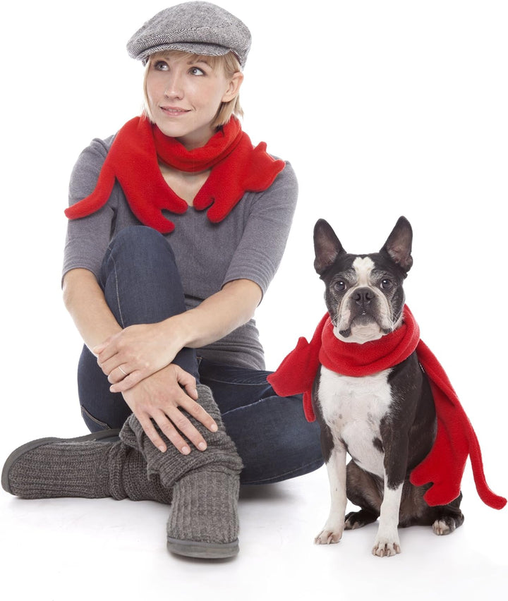 Katze Minina Feuer, Schal: Polen