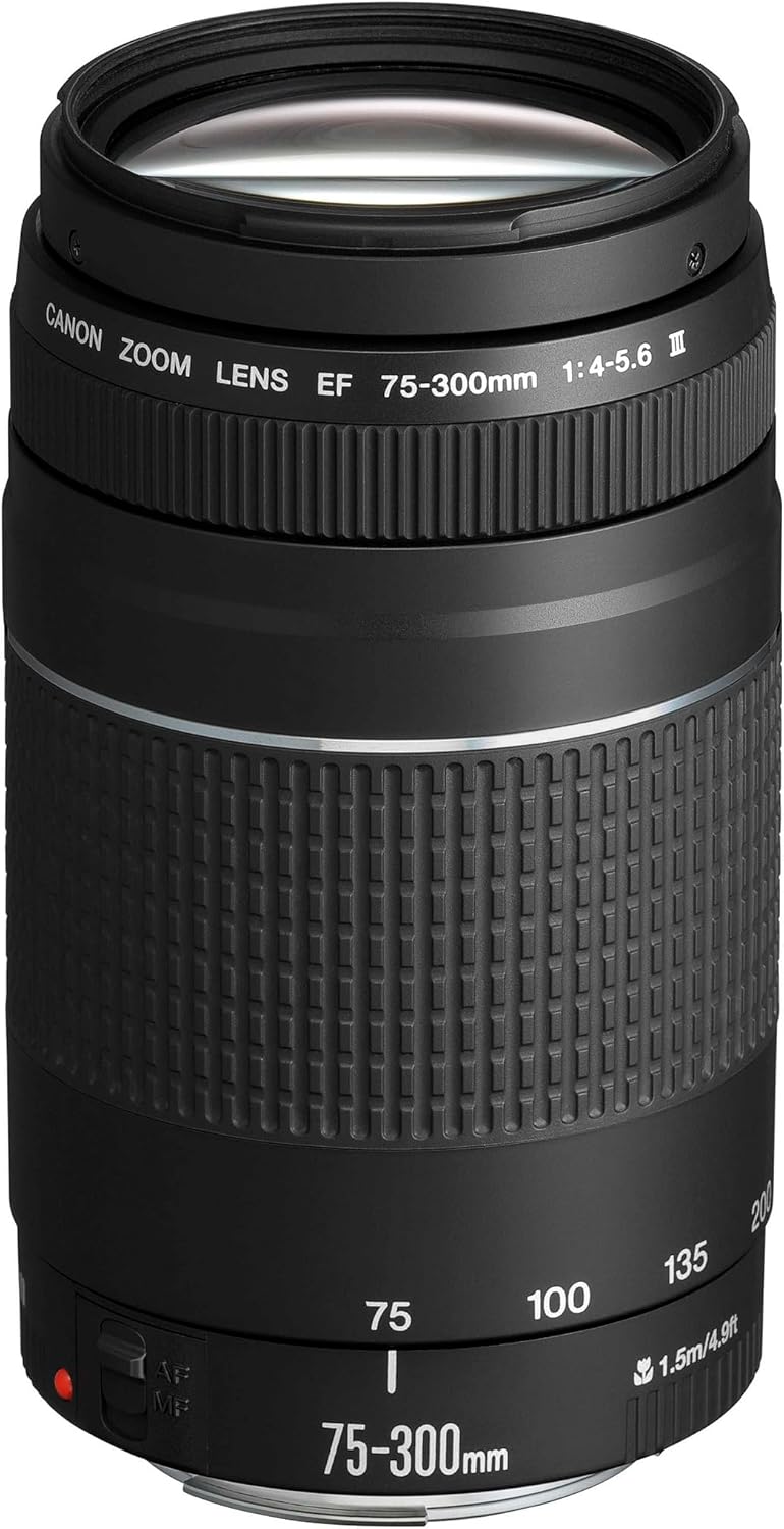 Canon EOS 250D Digitalkamera - mit Objektiv EF-S 18-55mm F4-5.6 is STM & EF 75-300mm F4.0-5.6 III Zo