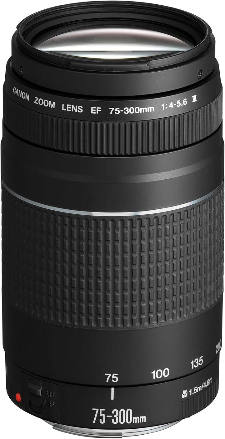 Canon EOS 250D Digitalkamera - mit Objektiv EF-S 18-55mm F4-5.6 is STM & EF 75-300mm F4.0-5.6 III Zo